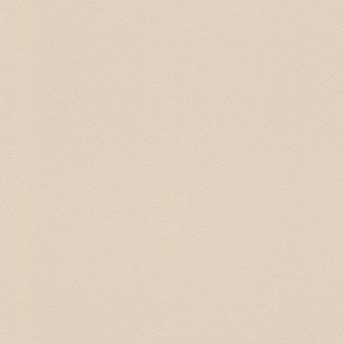 Rasch Duvar Kağıdı Home Style Modern Surfaces II 607772