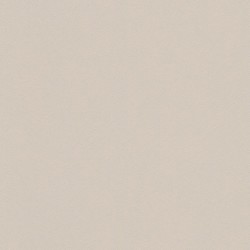 .Rasch Modern Surfaces II 5 m² - İthal Duvar Kağıdı Home Style Modern Surfaces II 607796