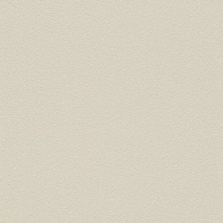 .Rasch 5 m² - Rasch Duvar Kağıdı Home Vision VII 739206