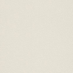 .Rasch 5 m² - İthal Duvar Kağıdı Home Vision VII 739220