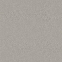 .Rasch Home Vision VII 5 m² - İthal Duvar Kağıdı Home Vision VII 739251
