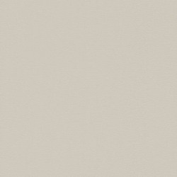 .Rasch Home Vision VII 5 m² - İthal Duvar Kağıdı Home Vision VII 741308
