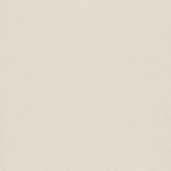 .Rasch Home Vision VII 5 m² - İthal Duvar Kağıdı Home Vision VII 741315