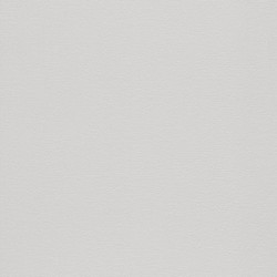 .Rasch 5 m² - Rasch Duvar Kağıdı Home Vision VII 741339