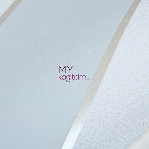 İthal Duvar Kağıdı Ivy 6810-40 82306