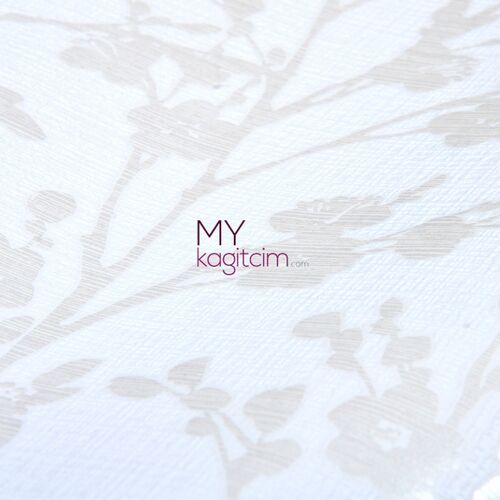 İthal Duvar Kağıdı Ivy 6812-10 82313