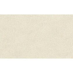 İthal Duvar Kağıdı Jolly 970128 - Rasch Jolly 10 m²