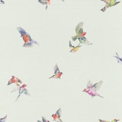 Duvar Kağıdı Lazy Sunday II 401141 Kuşlu my-0004 Zemin Açık Yeşil - Mykağıtcım Tasarım 5 m²