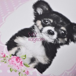 İthal Duvar Kağıdı Little Stars 35851-1 - 2