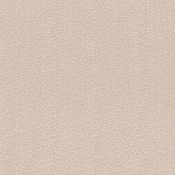 Rasch Textil Mirage 5 m² - İthal Duvar Kağıdı Mirage 07896007
