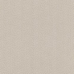 Rasch Textil Mirage 5 m² - İthal Duvar Kağıdı Mirage 07900410