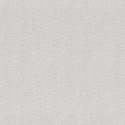 Rasch Textil Mirage 5 m² - İthal Duvar Kağıdı Mirage 07903514