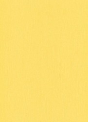 Erismann Paradisio 5 m² - İthal duvar Kağıdı Paradiso 6307-03