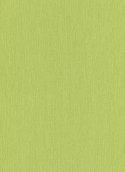 Erismann Paradisio 5 m² - İthal duvar Kağıdı Paradiso 6307-07