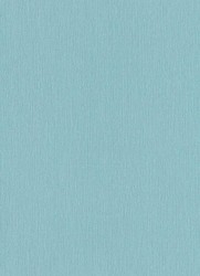 Erismann Paradisio 5 m² - İthal duvar Kağıdı Paradiso 6307-18