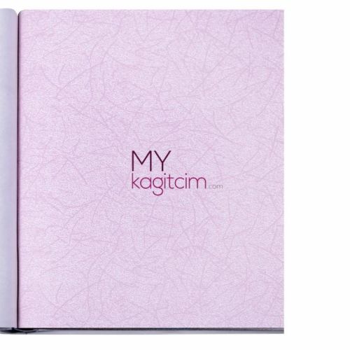 İthal Duvar Kağıdı Picasso Color Edition 436227