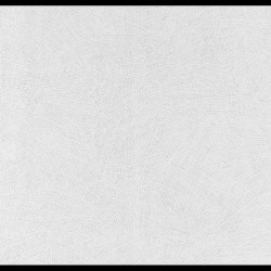 Ps Profi Line 26,50 m2 - İthal Duvar Kağıdı Profiline 13004-14