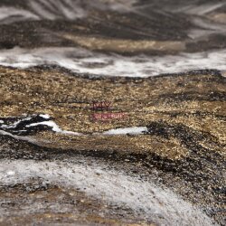 İthal Duvar Kağıdı Rim 540901 - 2