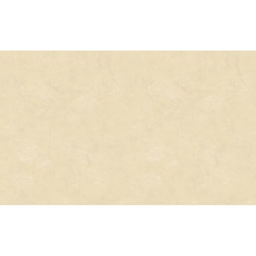 İthal Duvar Kağıdı The Color Book PRO 204