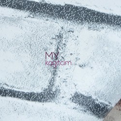 İthal Duvar Kağıdı Thewall 13316 - 2