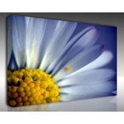 Kanvas Tablo Çiçek - Kanvas Tablo 00178