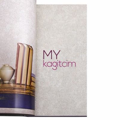 Sıva Eskitme Gri Vinil Duvar Kağıdı Legend Regulus 81131-1