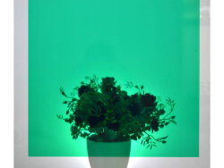 Yapışkanlı Folyo D-C-Fix 200-1965 Transparent Uni Grün - D-C-Fix Cam Vitray Yapışkanlı