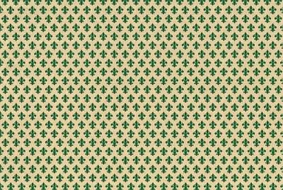 Yapışkanlı Folyo D-C-Fix 200-2471 Pitti Grün