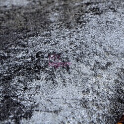 Yerli Duvar Kağıdı Equs 220-3 - 2